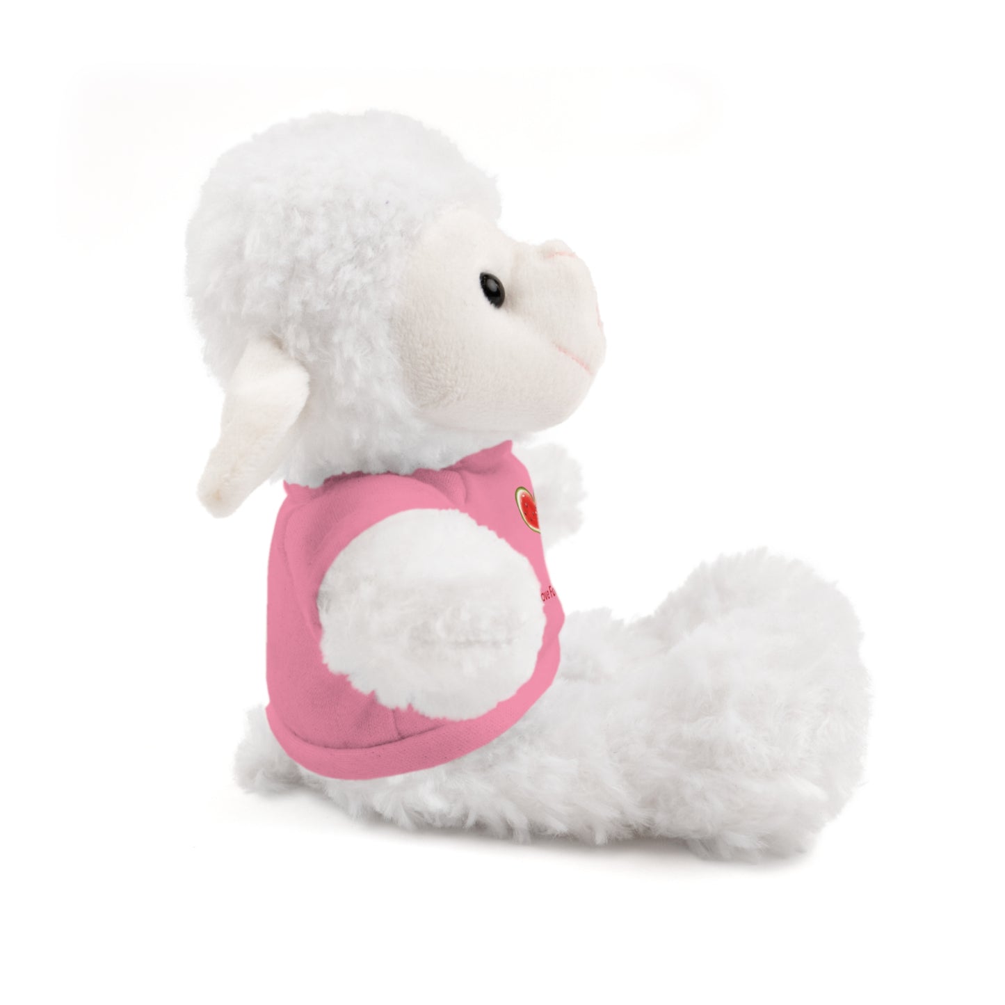 Stuffed Animal Gift with Tee | Love For Palestine Bear, Cute Plush Toy, Cuddle Buddy, Unique Gift for Kids, Love & Friendship