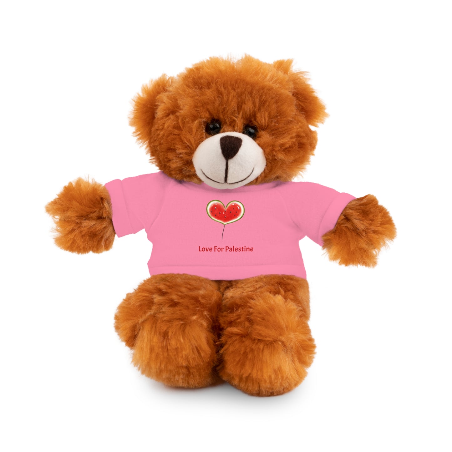 Stuffed Animal Gift with Tee | Love For Palestine Bear, Cute Plush Toy, Cuddle Buddy, Unique Gift for Kids, Love & Friendship