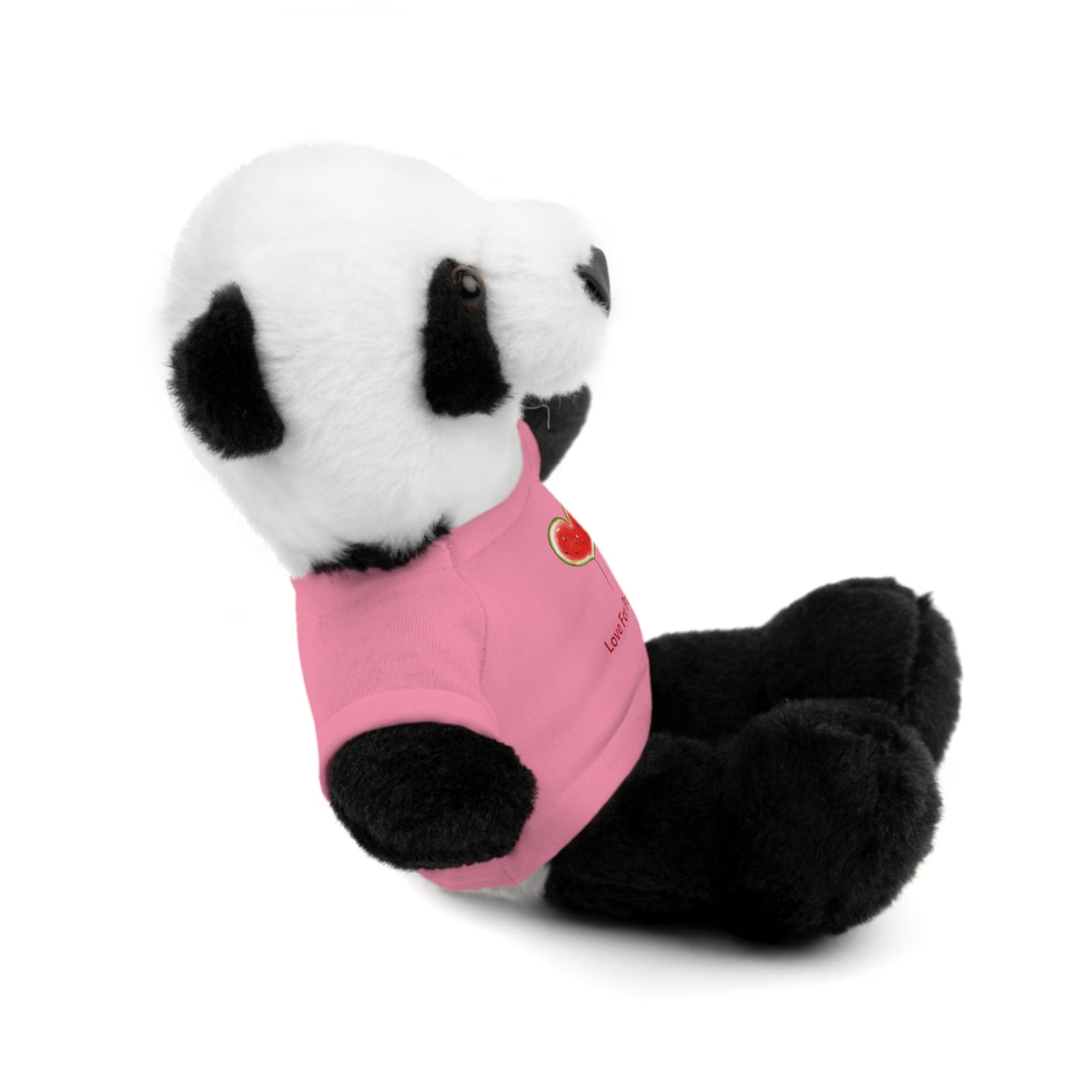 Stuffed Animal Gift with Tee | Love For Palestine Bear, Cute Plush Toy, Cuddle Buddy, Unique Gift for Kids, Love & Friendship