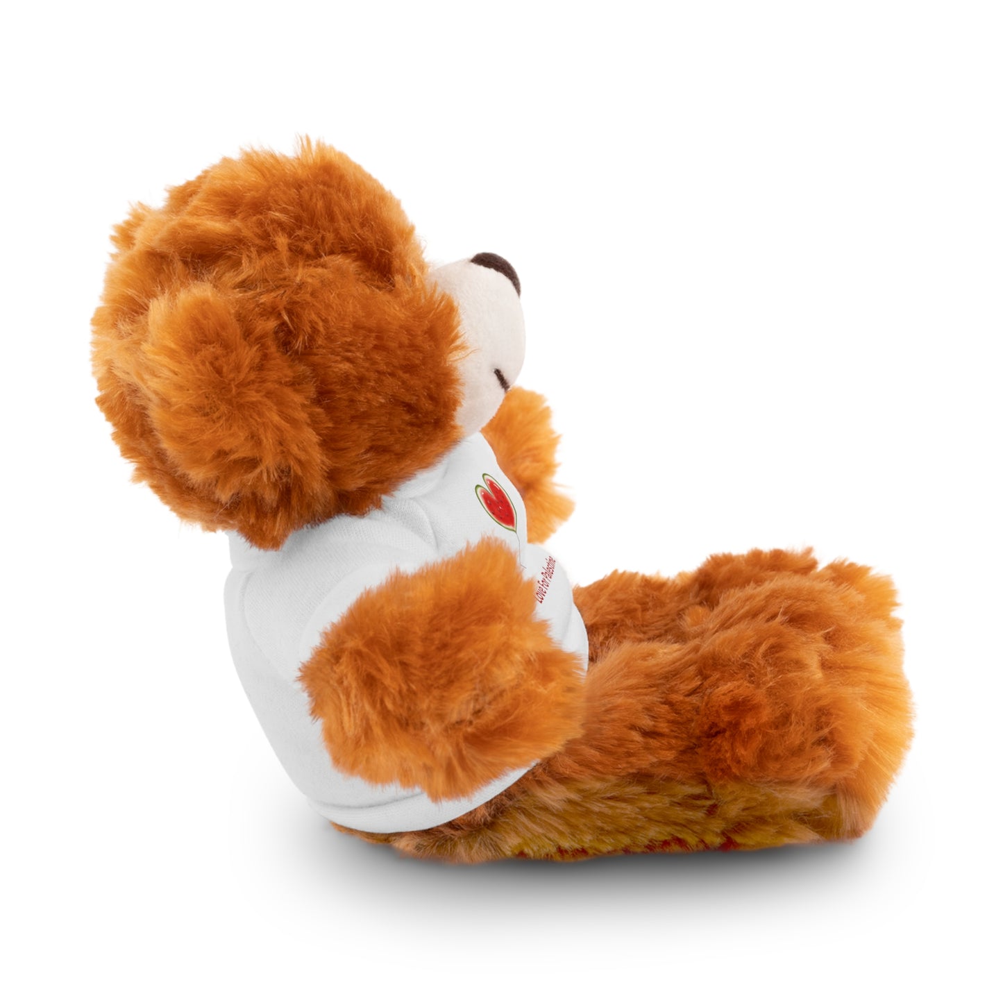 Stuffed Animal Gift with Tee | Love For Palestine Bear, Cute Plush Toy, Cuddle Buddy, Unique Gift for Kids, Love & Friendship