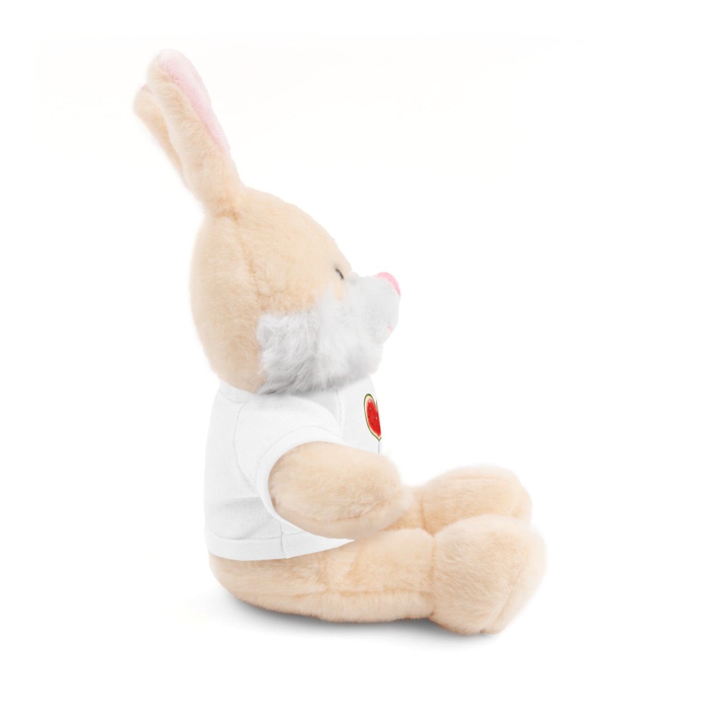 Stuffed Animal Gift with Tee | Love For Palestine Bear, Cute Plush Toy, Cuddle Buddy, Unique Gift for Kids, Love & Friendship