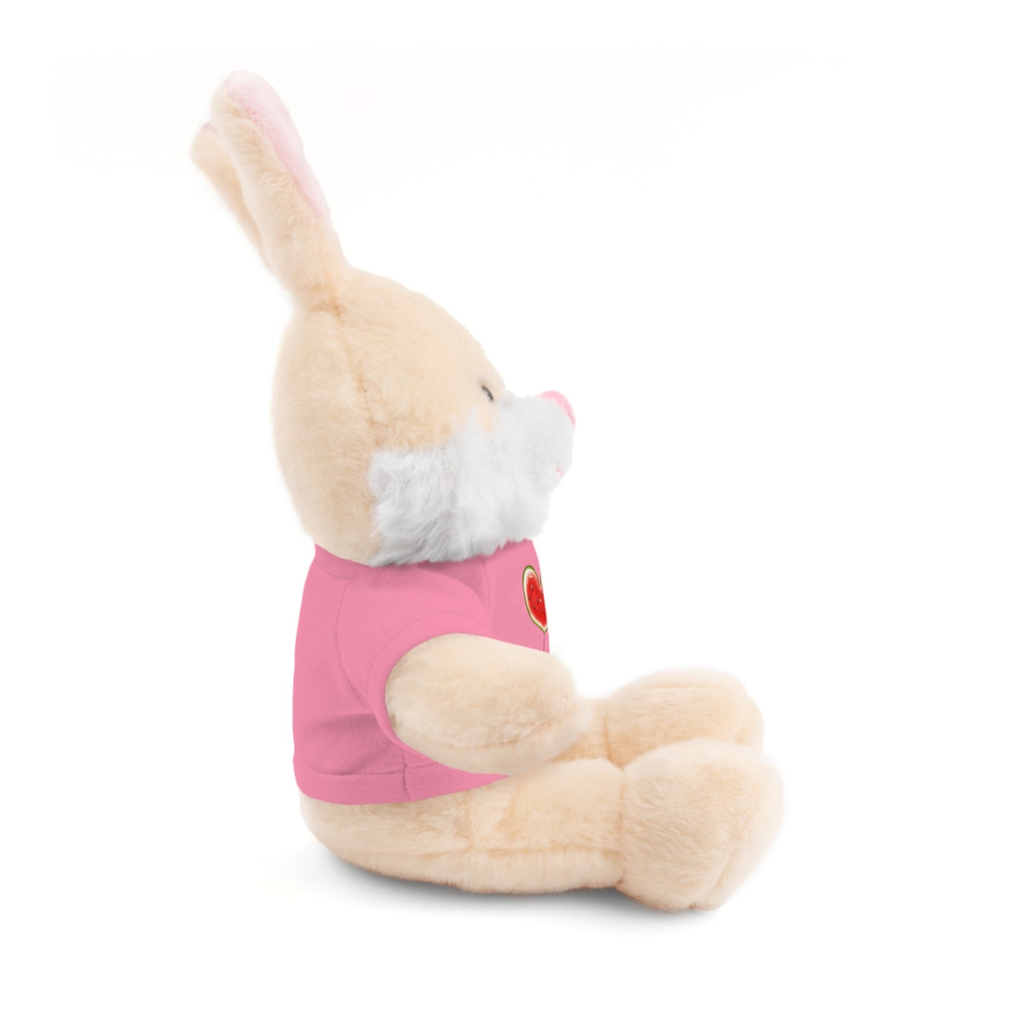 Stuffed Animal Gift with Tee | Love For Palestine Bear, Cute Plush Toy, Cuddle Buddy, Unique Gift for Kids, Love & Friendship