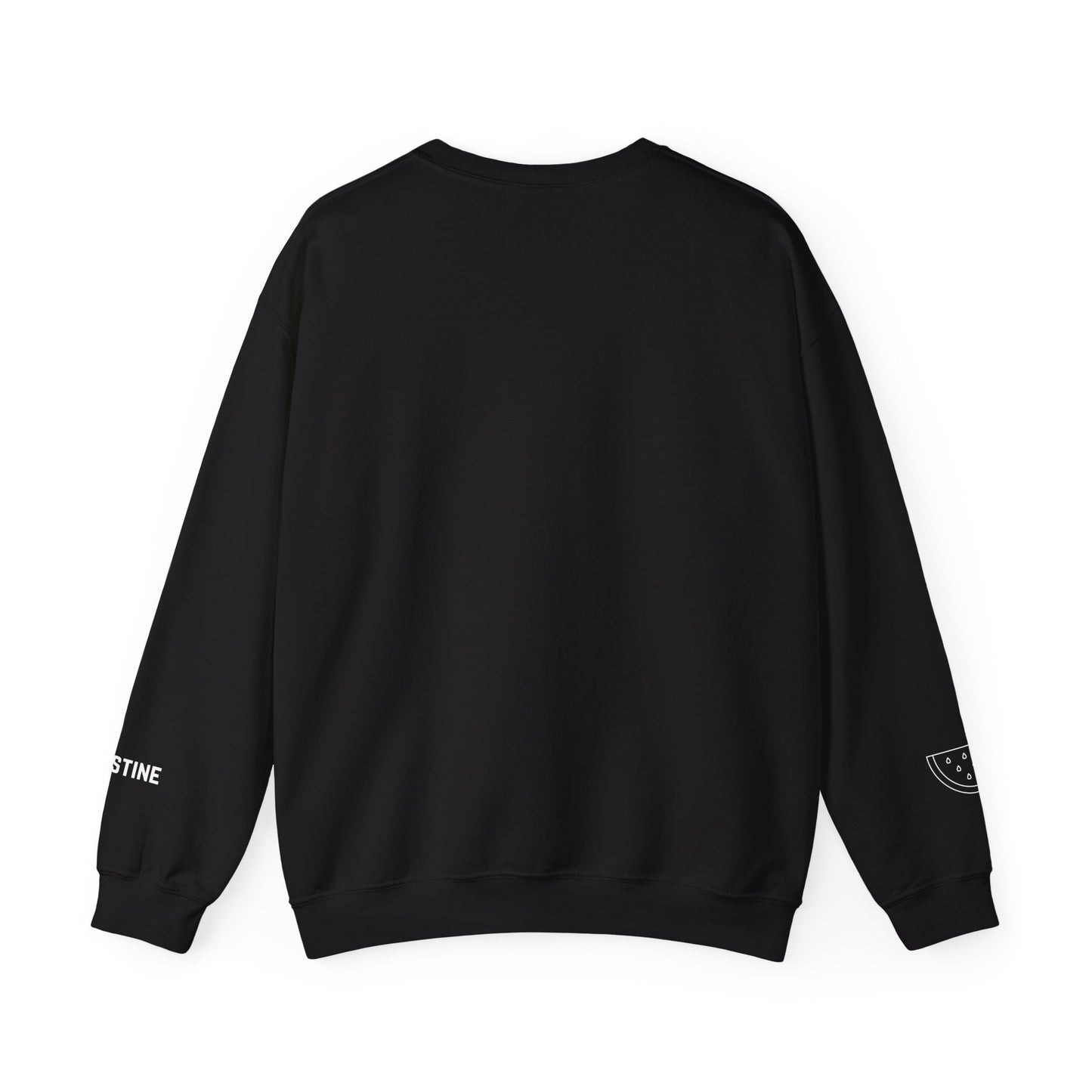 Palestine Map Sweatshirt Symbol of Hope & Solidarity