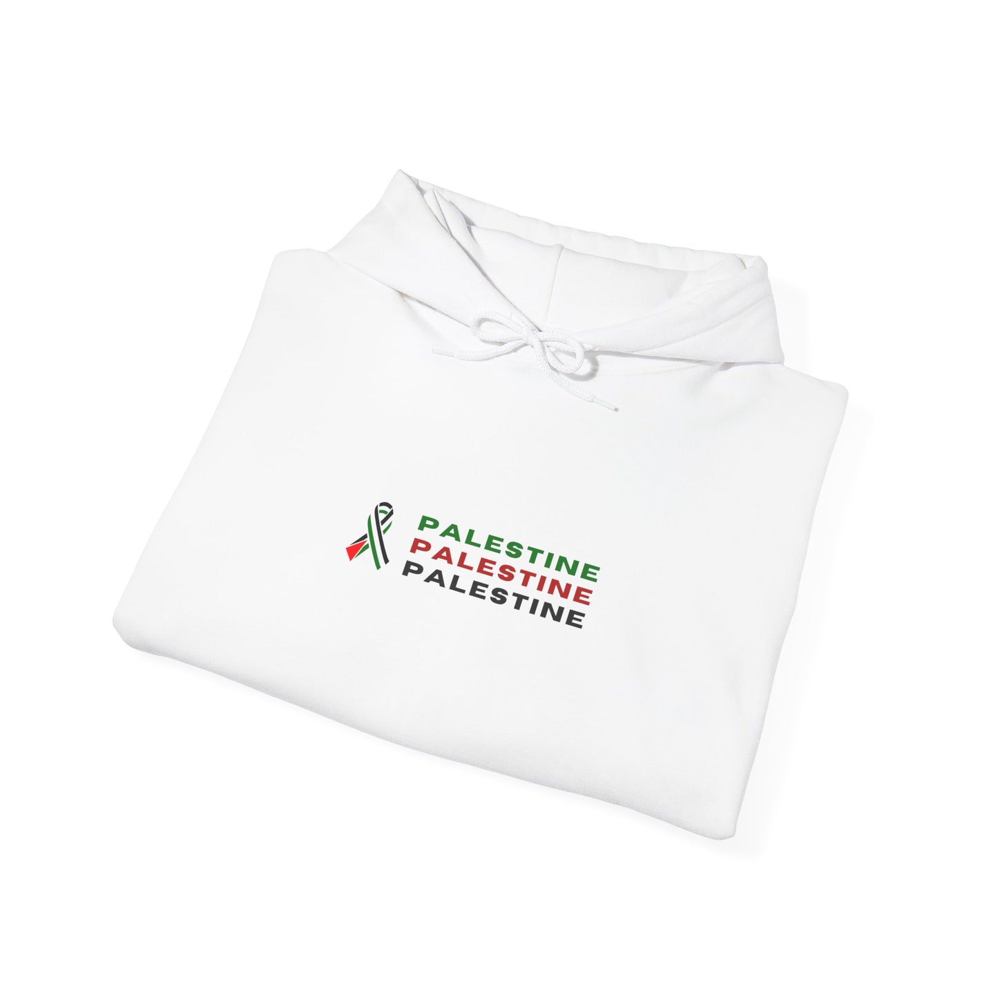 Freedom & Humanity Street Resistance Hoodie