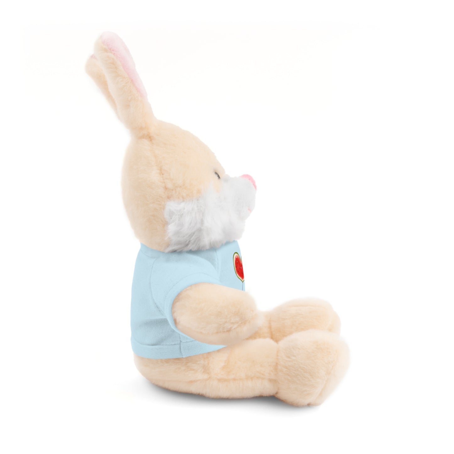 Stuffed Animal Gift with Tee | Love For Palestine Bear, Cute Plush Toy, Cuddle Buddy, Unique Gift for Kids, Love & Friendship
