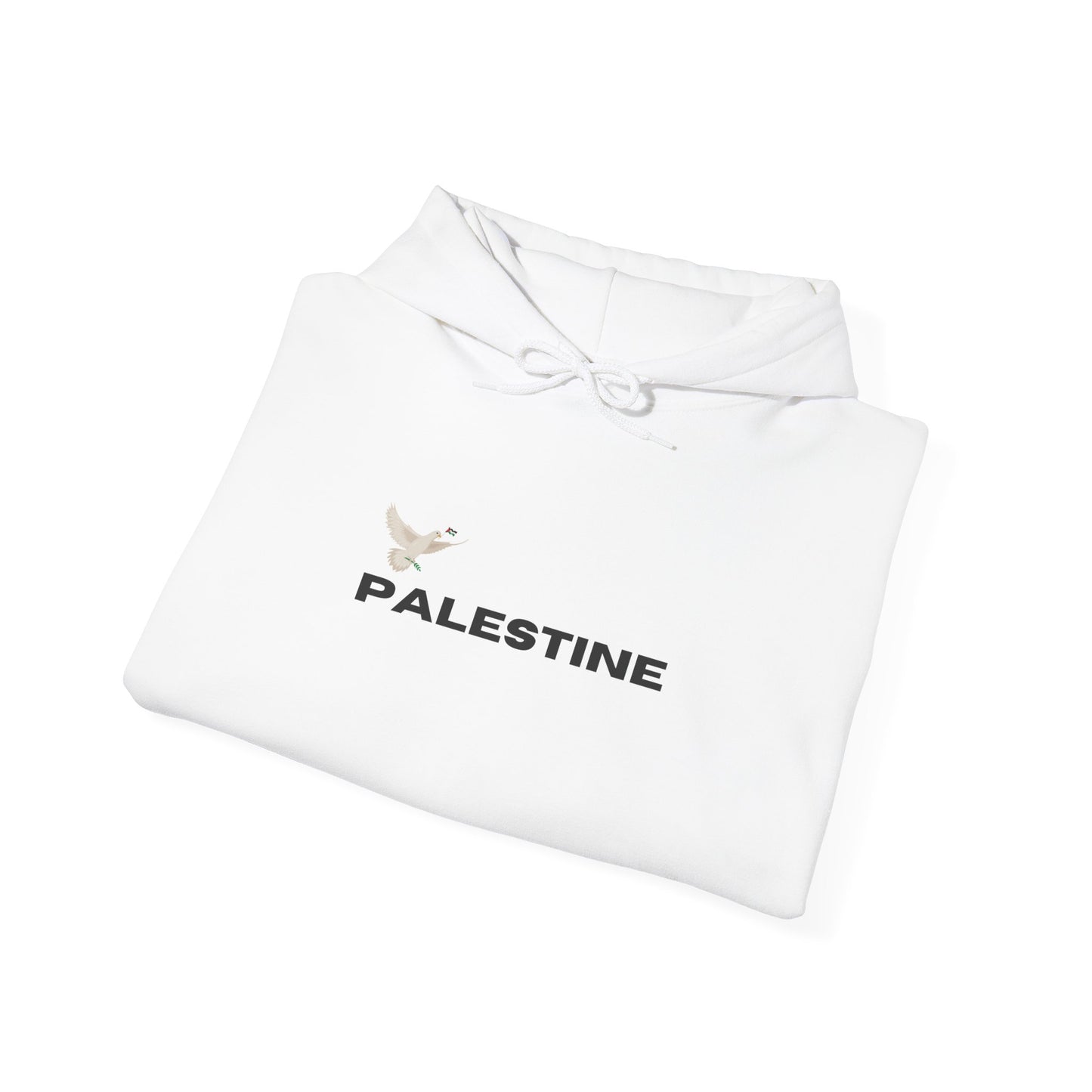 Free Gaza Free Palestine Streetwear Hoodie Palestine
